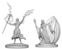 Elf Wizard